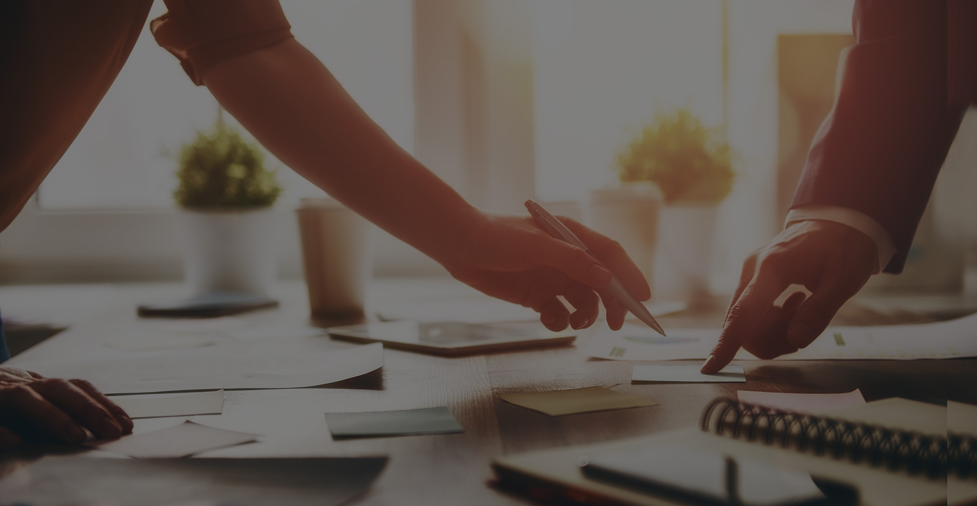 长沙猎鹰体育文化传播有限公司业务介绍